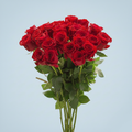 Timeless Premium Red Roses
