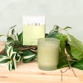 Scented Candle Urban Jar Foliage Island (8x10.5cmH) 230g