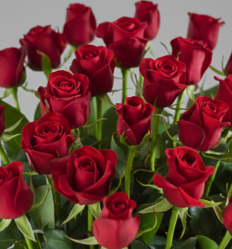 The Grand Gesture: Two Dozen Red Roses